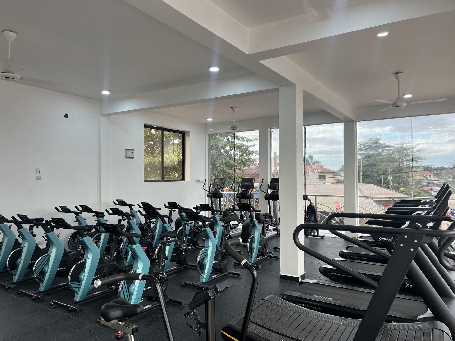 Full Gym Floor